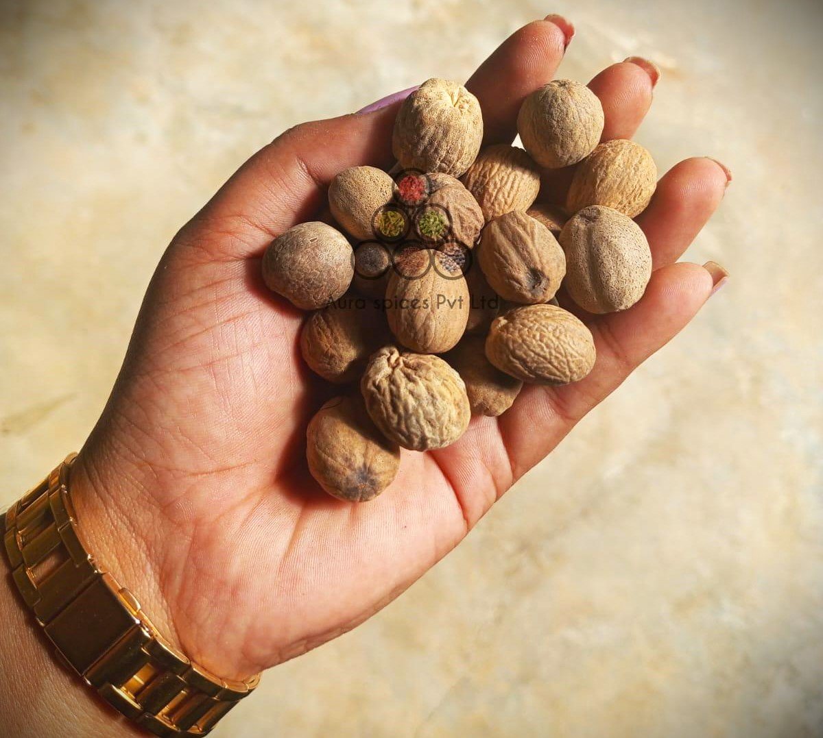 NUTMEG(POOJA)