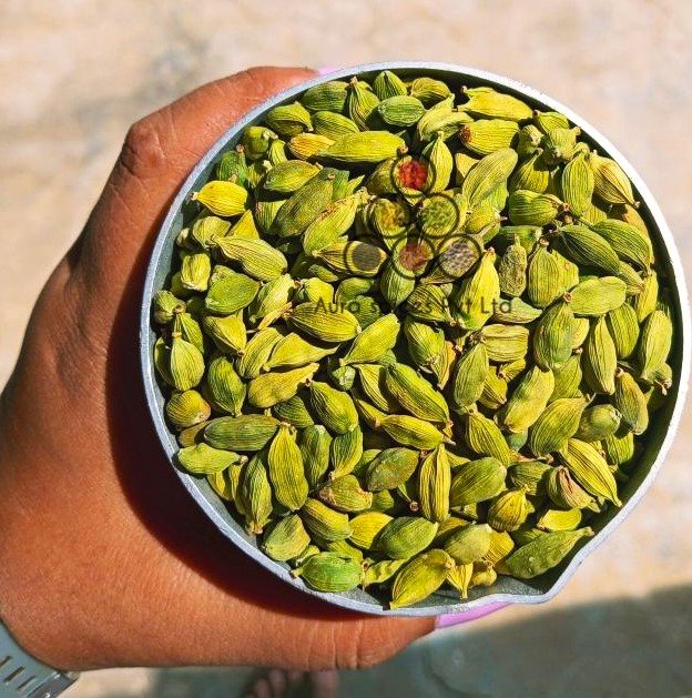 GREEN CARDAMOM (6-7 MM)